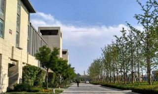 山东财经大学燕山学院怎么样